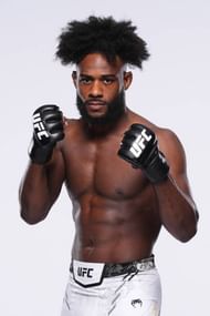 UFC Fighter Portraits
